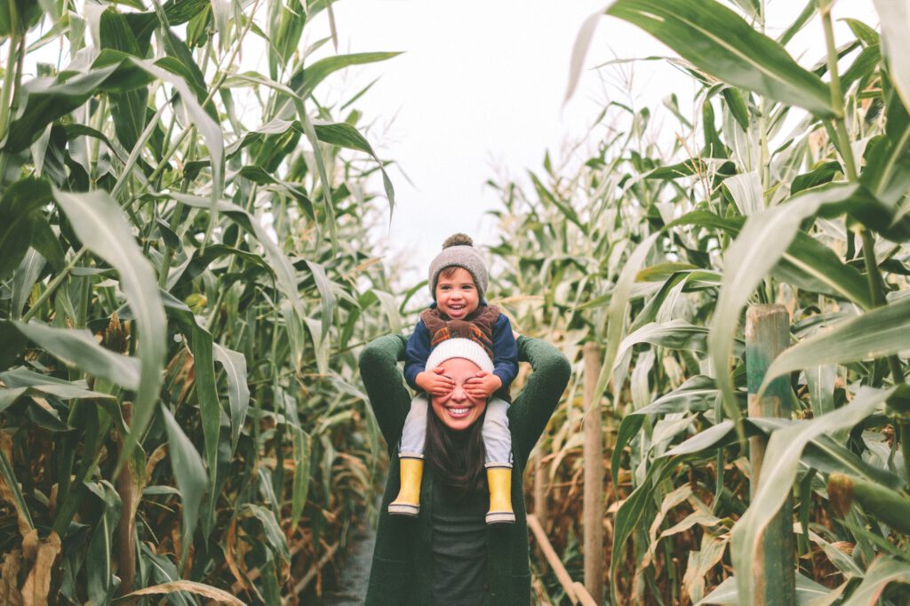 A happy little boy sitting on his mother's shoulders in a corn field in the fall.